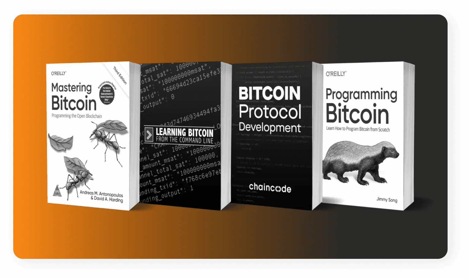 Covers of the five Bitcoin development books used in Bitshala cohorts